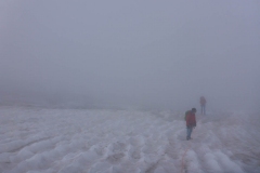 Auf dem Gletscher wirds dann schwierig, wir müssen einige Spalten umgehen, bei dem Nebel die Richtung zu halten ist nicht wirklich einfach