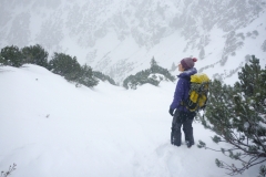Und wie angekümdigt ab Mittag Niederschlag. In Patagonien haben wir ja gelernt Wetterfenster effizient zu nutzen:)