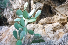 P1140256