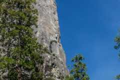 Die Washington Column