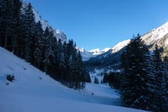 Vom Wirtshaus Bärenfalle gehts erstmal ein paar Kilometer auf nem Forstweg Richtung Ott-Mayr-Hütte