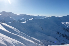Am Gipfel dann Planänderung. Die Hänge unter der Hohen Warte bzw. Scheibenspitze sehen einfach zu perfekt aus