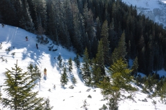 Dafür geht es in den Wald...