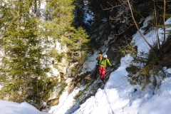 Bis man auf den Forstweg kommt dem man nach links ins Skigebiert folgt