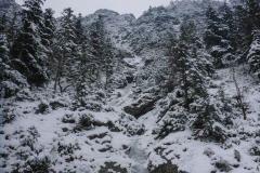 Einstieg ins rechte Gully (12.11 im Panico 2008, 2. Aufl.). Gut gewachsenes, durchgehendes Eis.