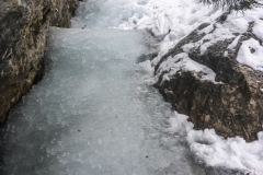 Nach oben hin wurde es immer wärmer, es fliesst noch gut Wasser. Bei den derzeot noch kalten Nächten sollts noch a bisslaufbauen können