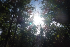Nach dem Anreiseregen gestern ist das erste Ziel schonmal erreicht: Sonne