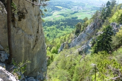Garten (2 von 5)
