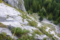 Wir landen am Leonhardtstein um Neulad zu erkunden. Na ja...bissl botanisch die Flora Bora