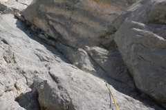 Wir starten mit den Pfeilerrissen. Mir stellen die das Gas schon mal ganz ordentlich ein