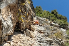 Arco-10