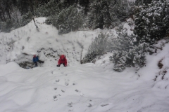 Jochberg (6 von 12)