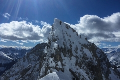 mitten (4 von 9)