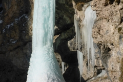 P1190193