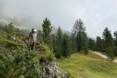 Statt am Heustadel (den es natürlich noch gibt) nun beim Astronauten links weg auf deutlichem Pfad, ca. 500m vor der Forcelles Hütte.
