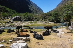 Das Quebrada Santa Cruz durchwandert man in zwei Tagen