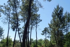 Wanderung um Largentière