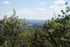 Blick auf Mont Real