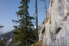 vorgestern im Hintergrund am Buchstein geklettert, geklettert heute mal Leonhardstein versucht