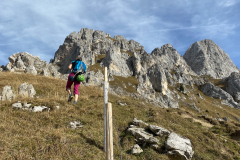 Der Einstieg ist auf den Fotos von Bergsteigen.at gut markiert. Man kann auf auf den Normalweg bleiben bis der Zaun aufhört, dann steil nach links rauf.