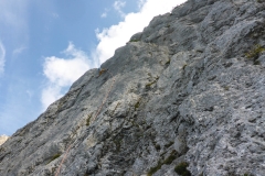 Hans Bär ist deutlich, vor allem anhaltender schwerer als Gams und Edelweiss