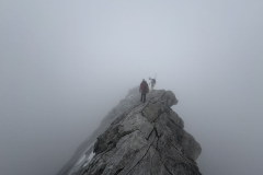 image005