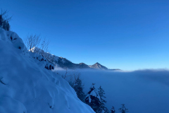 ...wie so oft kommt man über den Nebel. Herrlich