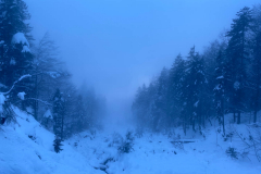 Die Stimmung am Jochberg ist aber immer wieder fein