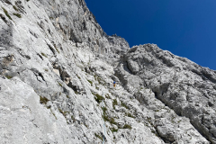 Mich erinnerst es an den Watzmann. Ziemlich viel Fels und ziemlich viele Möglichkeiten. Nach zwei Verhauern lass ichs mit meiner Intuition und akzeptiere die Regel dieser Route: Nicht immer logisch, aber wenn nach 20m kein BH kommt biste falsch