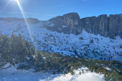 Wer den Latschenkampf als erstrebenswerte alpine Betätigung ansieht hat hier zur Zeit einen Riesenspass