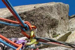 ...nimmt er wirklich zu?...