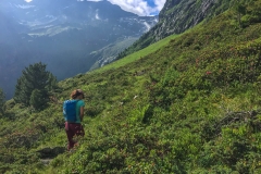 noch vor der Längentalalm auf Wegspuren (in der AV Karte verzeichnet) nach SO