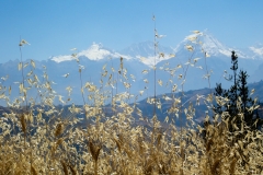 Cordillera Blanca