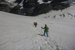 Früh dran sein! Der gletscher wird schon vormittags ganz schön weich...ich denke das wird bald ordentlich spaltig. Auch der Bergschrund kann bald ein Problem beim abseilen darstellen