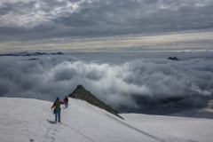 Rosenhorn-10-von-11