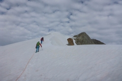 Rosenhorn-8-von-11