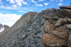 Rosenhorn-9-von-11