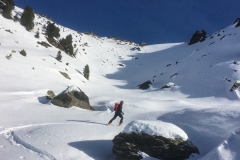 Kurz vor der Triplonalm sind wir nach Osten die Hänge hoch. Stellenweise ziemlich steil, an die 40°