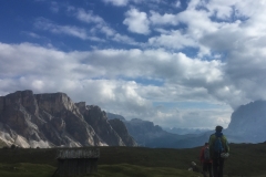 Sella-11