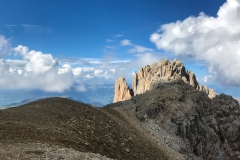 Sella-22