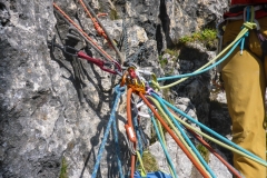 Sella-29