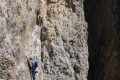 Sella-4