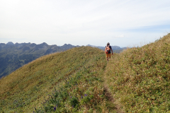 Ist aber über die hintere Einödsberg Alp gar nicht so schlimm weil immer schöne Landschaft und viiiiel kürzer als der Weg übers Waltenberger Haus